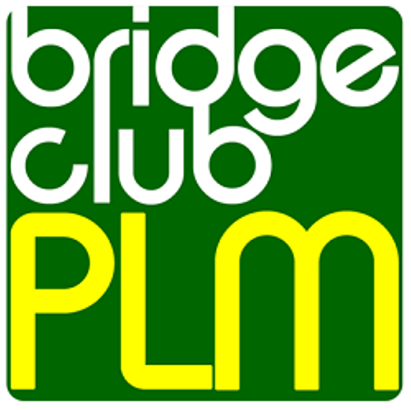 bridge petit.png